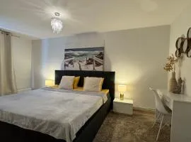 Elite Apartament spațios cu 2 dormitoare - Parcare gratuită - Wi-Fi rapid - Timișoara