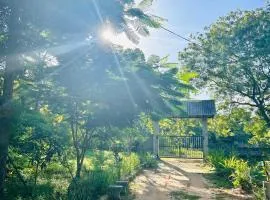 Neem safari lodge Yala