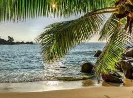 Calangute Beach Palms