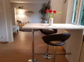 NICO Helles gemütliches Studio Innenstadt HomeOffice Workplace