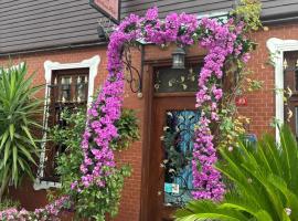 Ahmet Efendi Evi, Hotel in Istanbul