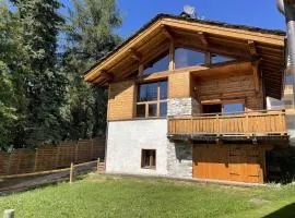 Chalet Blanchot (6-9 pers.) "Le Parchey" Peisey-Vallandry – Domaine Paradiski