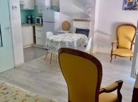 Studio lumineux avec balcon, Wi-Fi, proche des thermes d'Amélie-les-Bains - FR-1-703-52