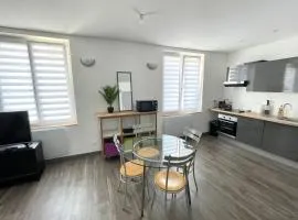 Le Dominicains appartement au calme aux portes de la Place Stanislas