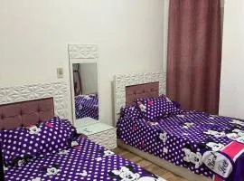 شقة فندقية مفروشة للإيجار بالشيخ زايد Furnished hotel apartment for rent in Sheikh Zayed