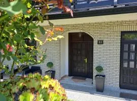 Vila Jevtić studio 3