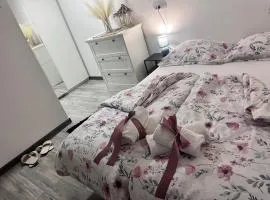 Soba MIHA 2