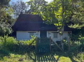 Mouse House Greyton - tiny home living、フレイトンのタイニーハウス
