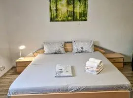 Seventeen -Apartament la casa
