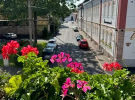 Õhtu Põik 4 City Center Apartment