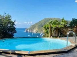 Villa VUE SUR MER tout confort avec piscine, proche plages - Deshaies centre