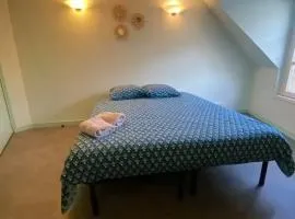 Studio charmant à Cherbourg-en-Cotentin - 20m² - Parking