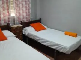Nueva 3