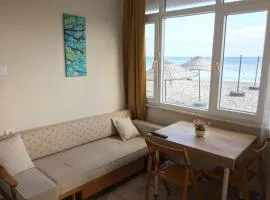 Entire Apartment on the Beach