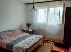 Kuća - Šekovići