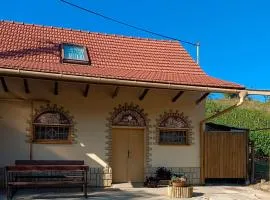 Sklípek pod vinohrady Mutěnice - rychlá WIFI