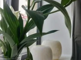 Bénodet au pied du port charmant Duplex neuf calme au cœur de la station