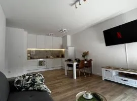 Leaf Apartament Łódź prywatne miejsce parkingowe