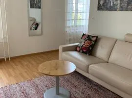 2 Zimmer Appartement mit eigenem Bad und Küche