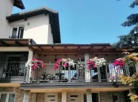 Villa Bozovic
