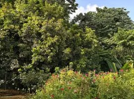 Villa Selma Martinique