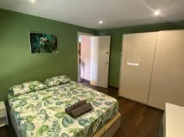 Habitacion Jungle Aldaia