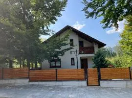 Casa de vacanta Mogosa
