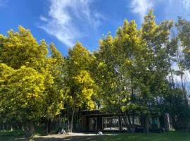cabaña, casa de campo IKIGAI
