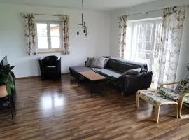 Niedergerner Alpaka Ranch Groß