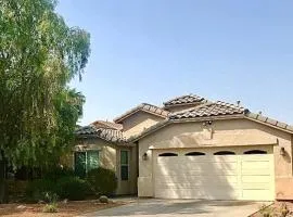 Palmen Maricopa