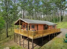 Modern Cabin w Hot Tub, Wifi & Huge Deck!
