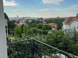 Janko's house
