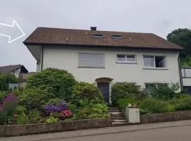 Schusters Murgtalblick