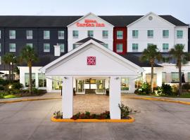 Hilton Garden Inn Houston/Clear Lake NASA, Hotel in Webster