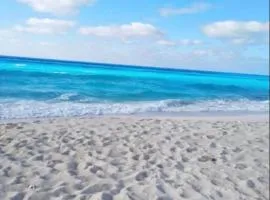 nice apartment near alamine