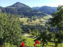 Biobergbauernhof Bergzeit Apartment