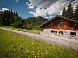Appartement 2 à 4 personnes Chalet Le Bolet, Hotel in Morzine