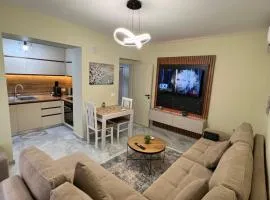 Downtown Deluxe Apartment