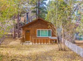 Bear Forest Hideaway, 5 Bed's, Indoor Fireplace!, hotel i Sugarloaf
