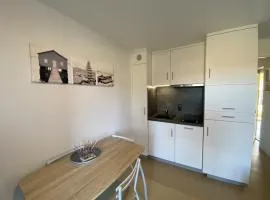 Appartement avec WIFI et Animaux Acceptés, Proche des Thermes à La Roche-Posay - FR-1-541-113