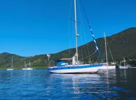 Reves d'antilles dormir sur l'eau au milieu des tortues