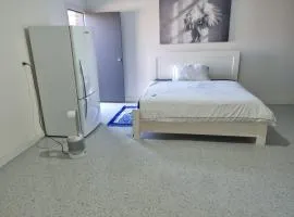 Trugnina garage converted in room