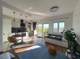 Apartma Tomažič