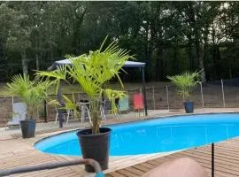 Maison charmante à Puygaillard-de-Quercy avec piscine privée