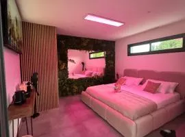 Reve D Amazonie & Chambre Standard