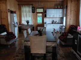 Natanebi's Music House