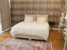 Lovely One Bedroom Appartment-530
