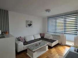Apartman Dreams