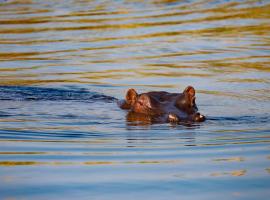 Zambezi Dusk, hotel v destinaci Livingstone