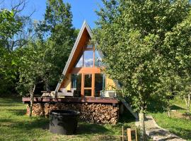 Pumbaa House at Casa Twiga, Melicesti, Prahova, Romania, hotel v destinaci Meliceşti